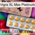 Vigra Xl Max Platinum 41